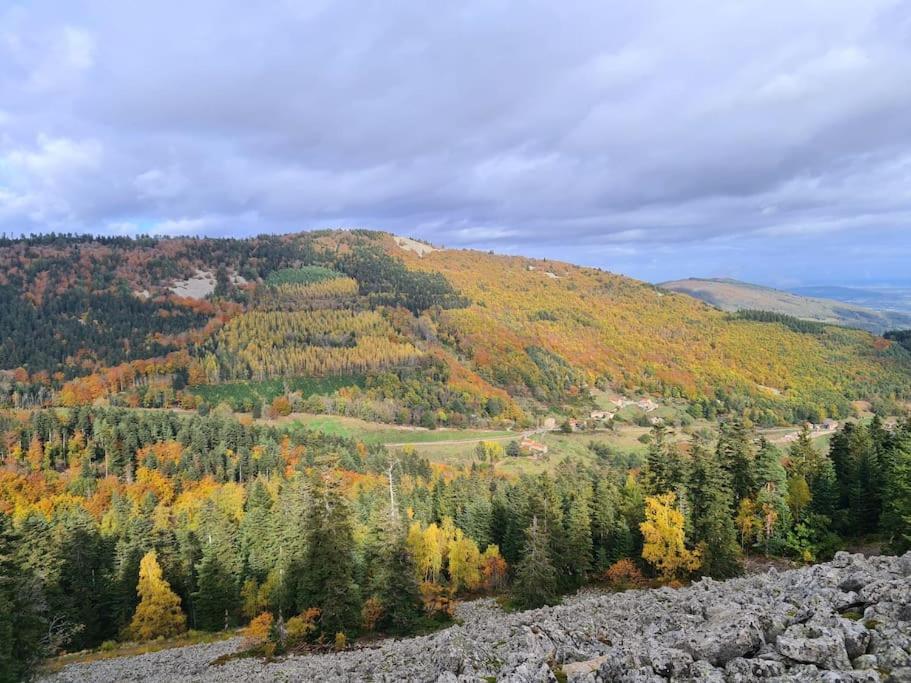 Gite De 70M² Avec Vue Sur Le Massif Du Pilat Clonas-sur-Vareze Esterno foto
