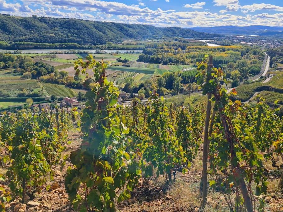 Gite De 70M² Avec Vue Sur Le Massif Du Pilat Clonas-sur-Vareze Esterno foto