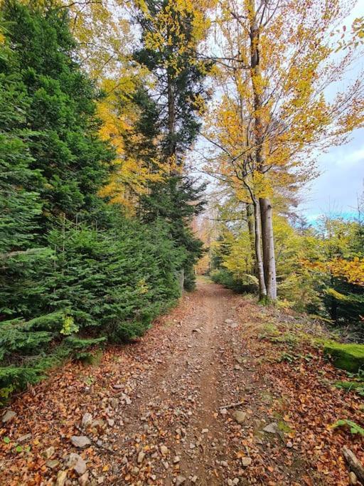 Gite De 70M² Avec Vue Sur Le Massif Du Pilat Clonas-sur-Vareze Esterno foto