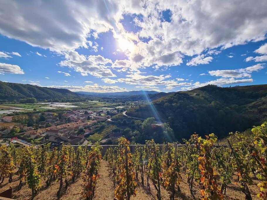Gite De 70M² Avec Vue Sur Le Massif Du Pilat Clonas-sur-Vareze Esterno foto