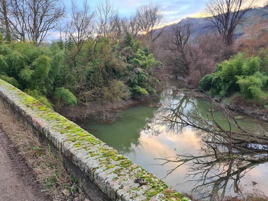 Gite De 70M² Avec Vue Sur Le Massif Du Pilat Clonas-sur-Vareze Esterno foto