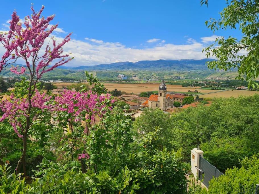 Gite De 70M² Avec Vue Sur Le Massif Du Pilat Clonas-sur-Vareze Esterno foto